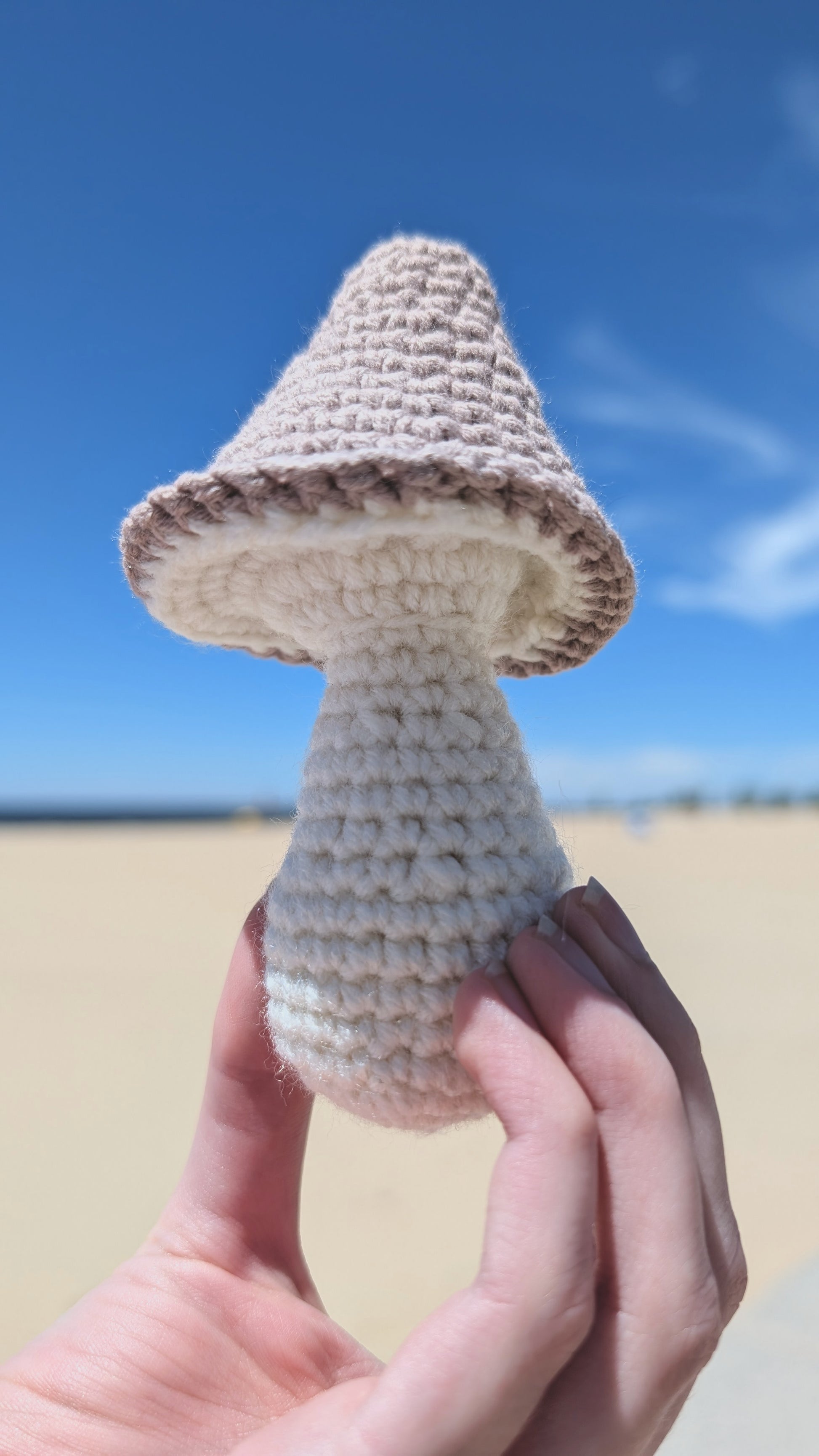 Hand holding a crocheted mushroom against a beach background