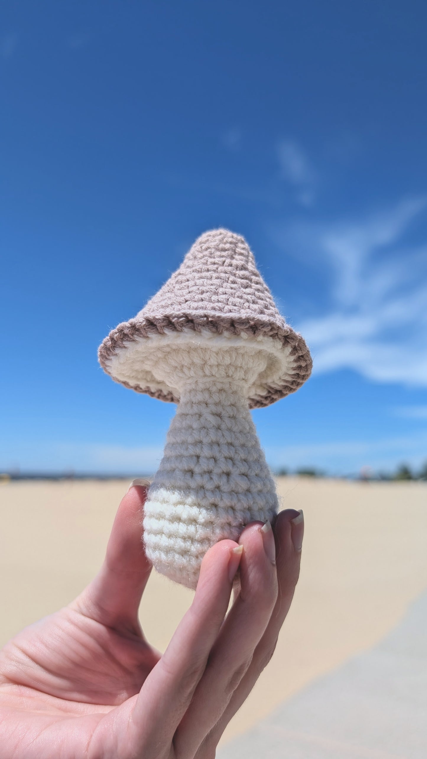 Hand holding a crochet mushroom against a beach background